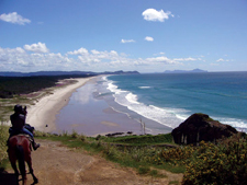 New Zealand-North Island-Warrior Trail